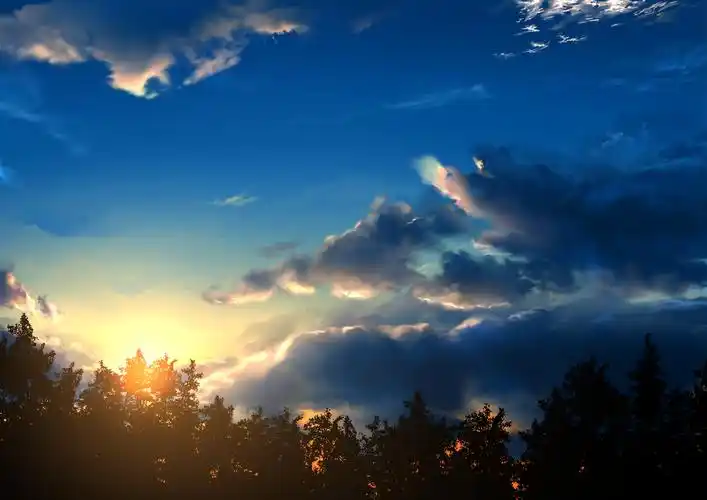 从你到青插画图片壁纸