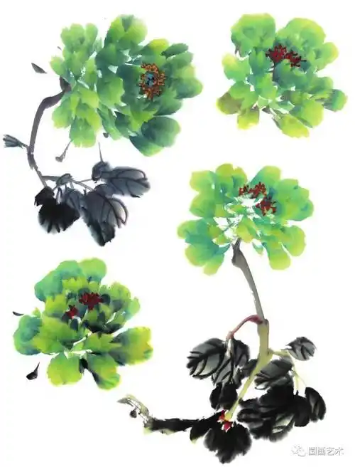 牡丹花头写意画法与形态参考