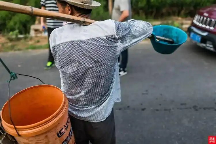 同样,在之前深度君去到的卜家坞,也发现很多山下的果农们使用扁担挑水