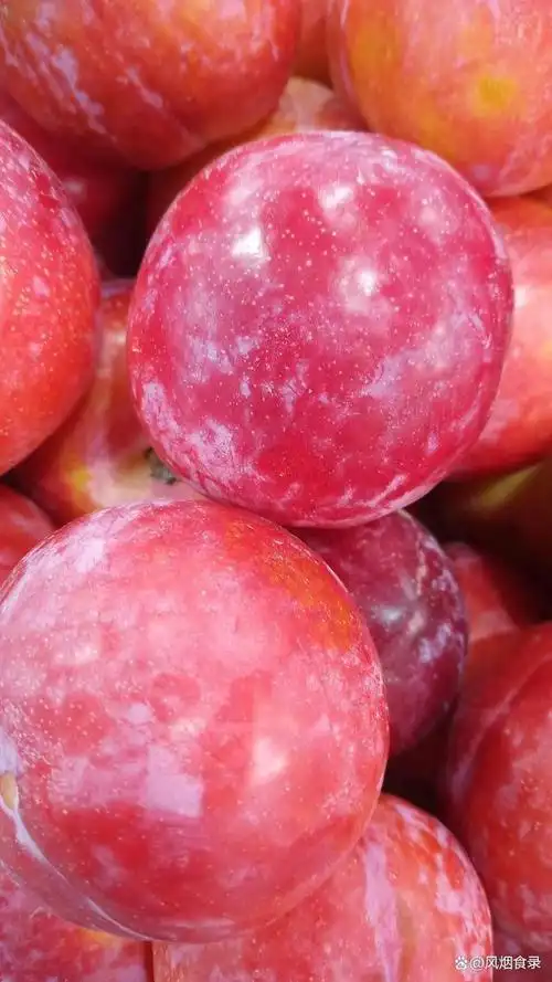 全国哪的李子最好吃?经过评选,这10个地方上榜,有你家乡吗?