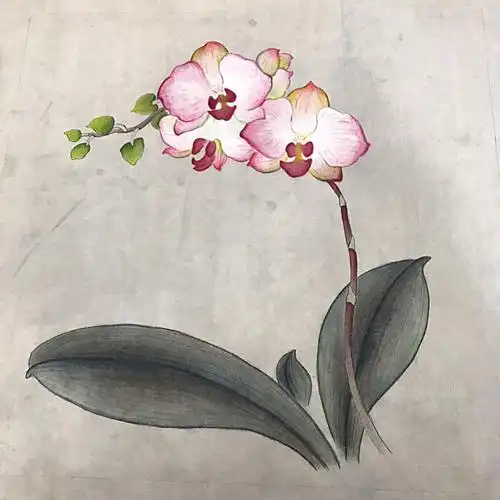 作品赏析————刘颖"画画一种艺术的享受,我很喜欢绘画的过程