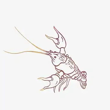 手绘小龙虾设计素材