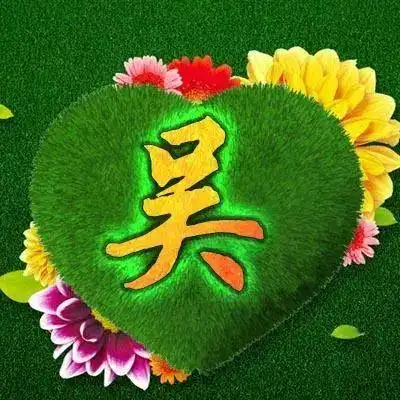 积善的美篇【吴氏微信头像】