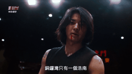 友情岁月|郑伊健|古惑仔_新浪新闻