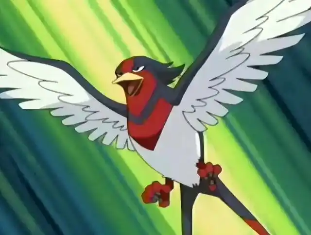 《宝可梦》大王燕为什么要走法师路线?只是因为一个技能?