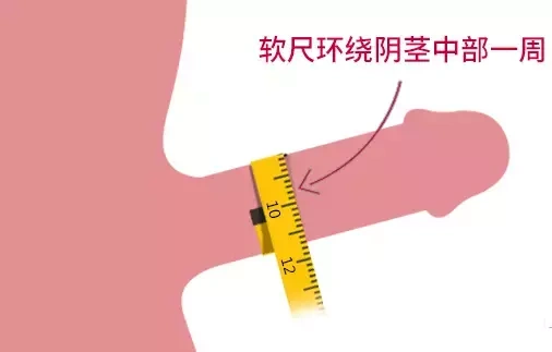 男人丁丁究竟多长才正常?花一分钟测试看看!