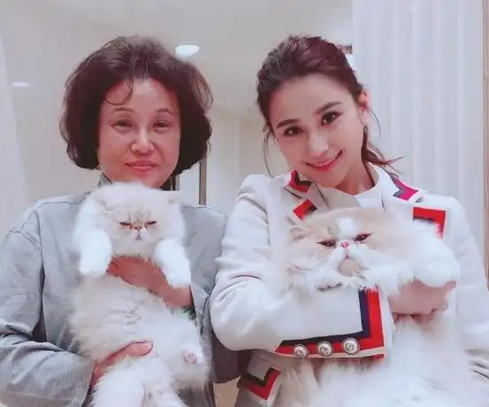 回顾何超莲绯色情史28岁坐拥10亿嫁妆追爱8年被4个男人无情辜负