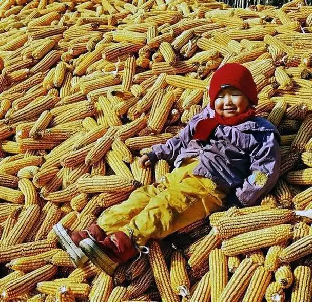 80年代东北农村民俗老照片,有些风俗早已消失,看懂的人满眼泪水