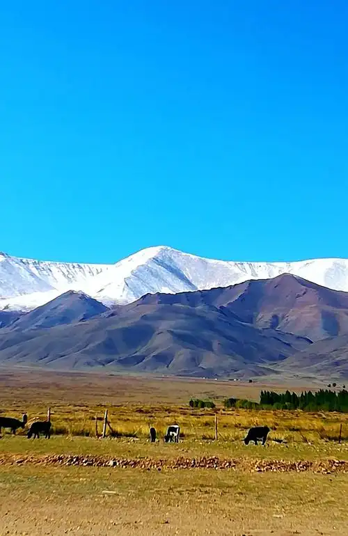 美丽新疆——喀尔里克雪山