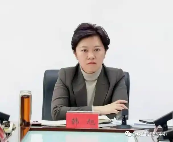 我县召开迎宾大道及城市中轴线景观提升工程设计方案汇报会