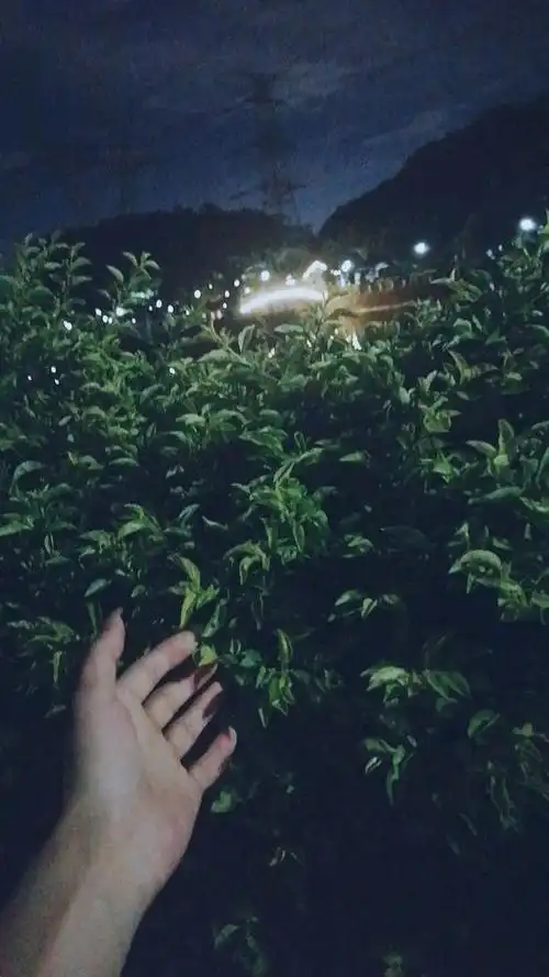 一个人的夜晚