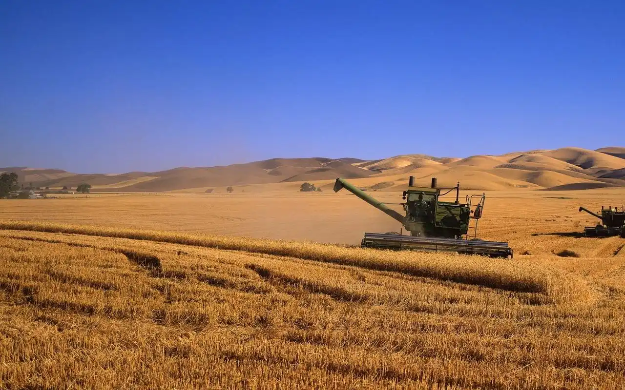 丰收的秋天风景