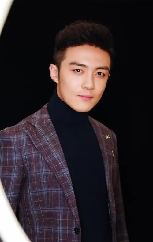 李泽锋儒雅帅气写真图片13