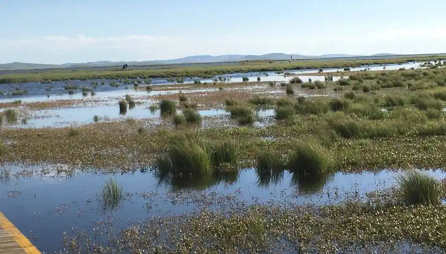 甘南川北行:中国最美湿地-若尔盖花湖风景区_小时_草原_郎木寺