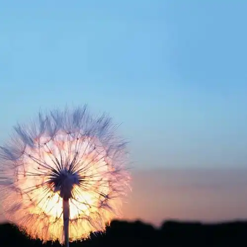 简单而走心的图片头像 高清好看独一无二唯美的图片头像_微信头像