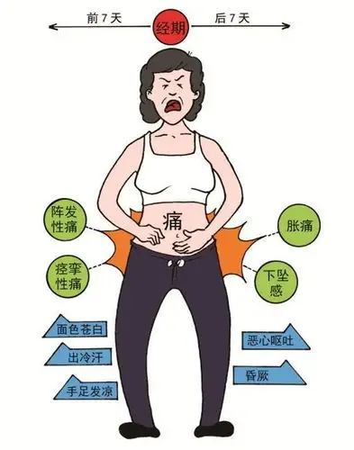 (4)爱吃冷饮食品;(3)受风寒湿冷侵袭;(2)经期剧烈运动;(1)精神因素;本