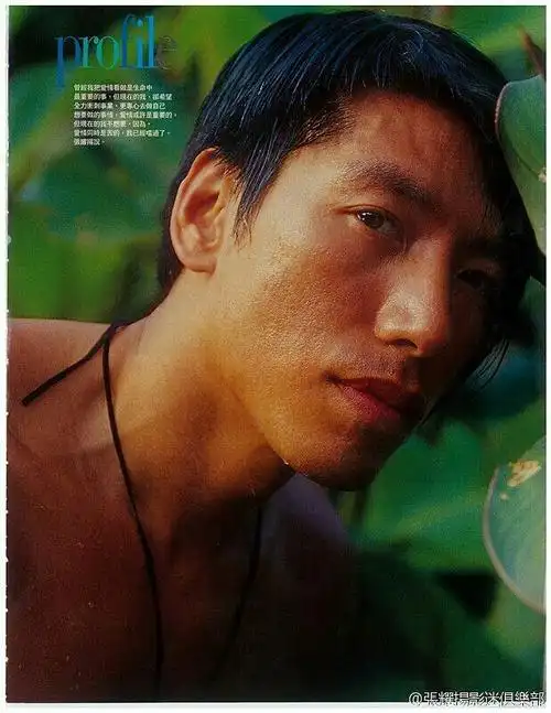 张耀扬 roy cheung的图片