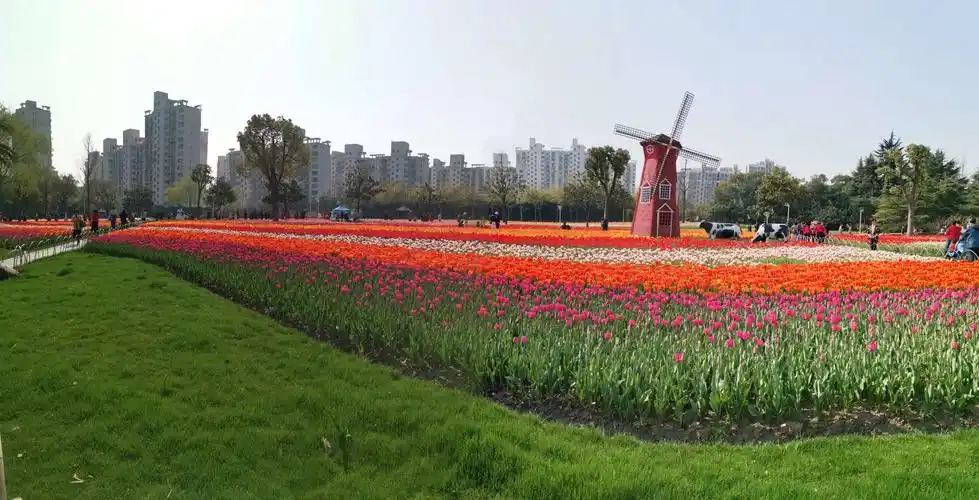 大宁灵石公园郁金香展