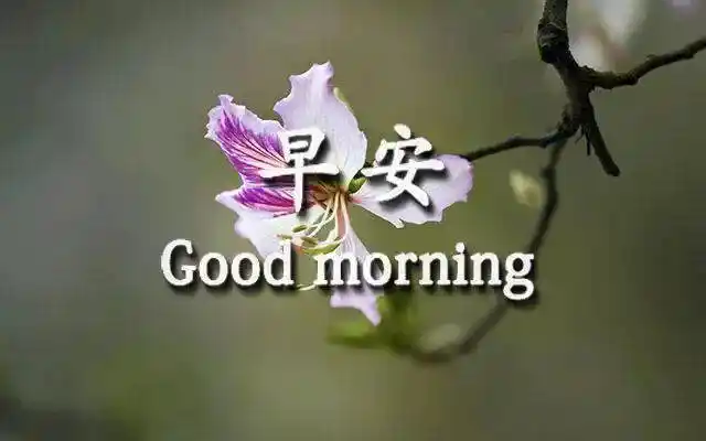 2021年春季最新版早上好特别漂亮的早安动态祝福图片