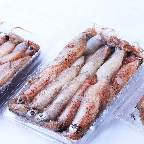 搜好货网 产品库 船冻鱿鱼 船冻鱿鱼 冷冻水产品山东鱼 鱿鱼串批发