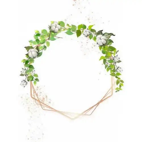 棉花和绿叶组成的多边形文本框标题框8742246免抠图片素材 边框纹理