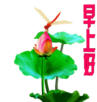 早上好!亲爱的群友们!_微场景应用- 兔展h5作品