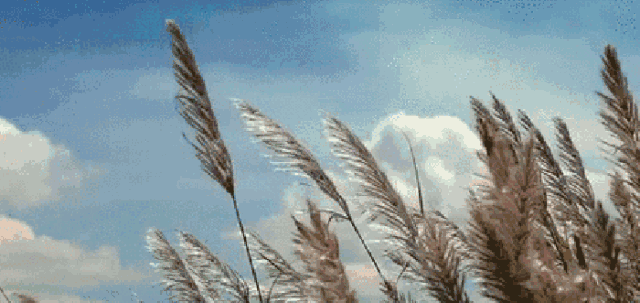 640_303gif 动态图 动图