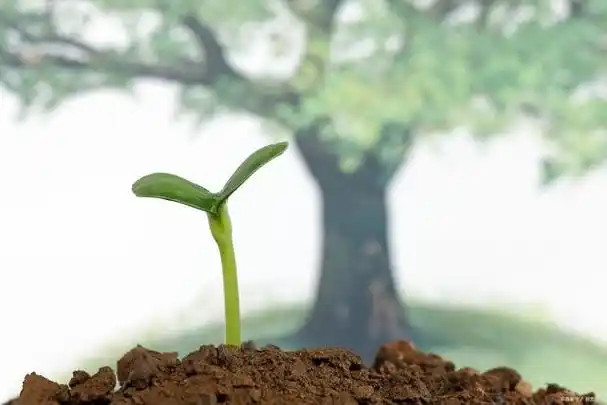 成长的必经一课是什么