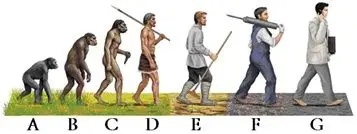 关于人类的起源与发展,有不少观点,但"进化论"是目前被人类广泛接受的