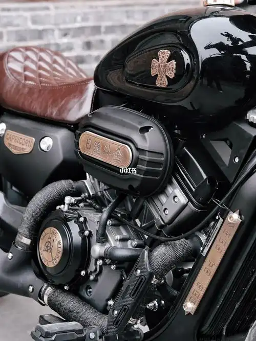 小姐姐的改装风格,很是独特#金吉拉300  #金吉拉300改装  #机车