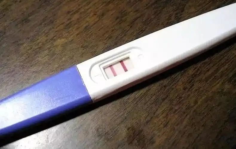 验孕棒上两道横杠,表示怀孕