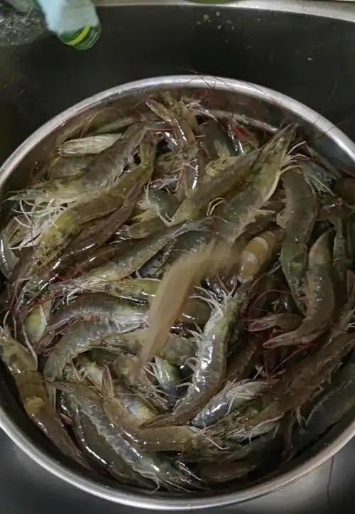 又一种大虾入侵珠江广州钓友钓起大河虾钓友从未见过