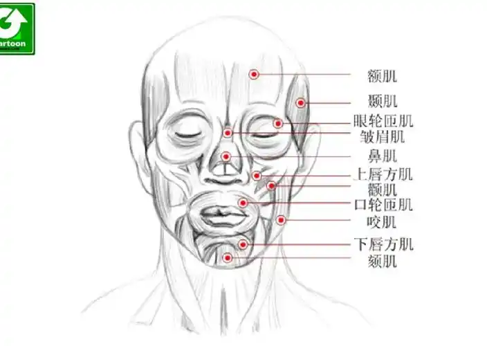 q1236729 采纳数:17获赞数:40lv5 擅长:书画美术魔兽争霸仙剑奇侠传