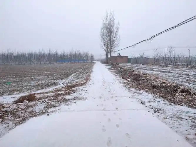 雄安乡村雪景与雾凇