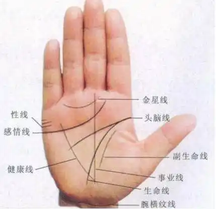 手中纹路互相交错,够构成四方形或者三角形,便称为财库,代表着财富,不