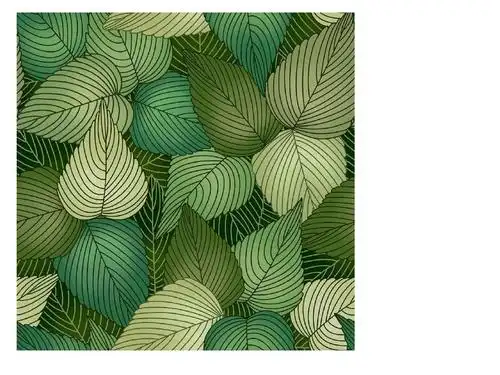 人教新课标三年级上册美术课件 9 天然的纹理1ppt