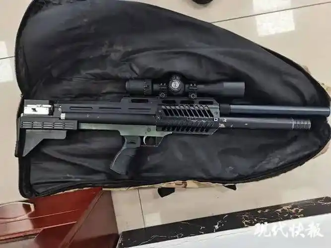 王某某_气枪_非法