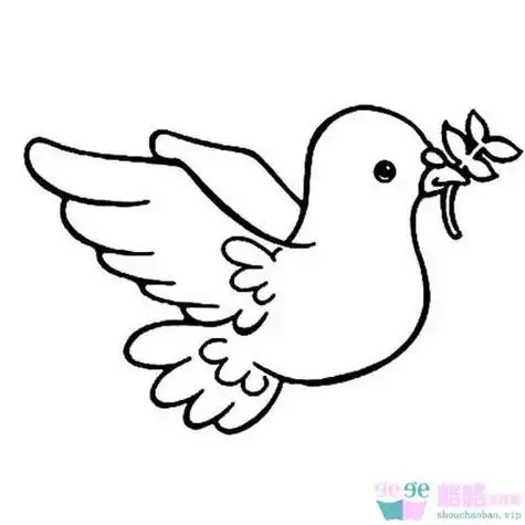 画和平鸽和平鸽飞翔的和平鸽和平鸽鸽子最简单的画鸽子成群鸽子简笔画