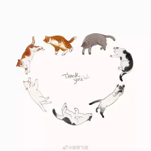 这么多可爱的手绘猫咪插画你喜欢吗