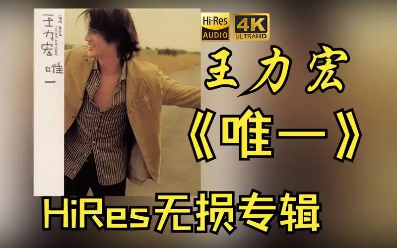 【hires 24bit/48khz】王力宏leehom wang《唯一》专辑无损音频4k60帧