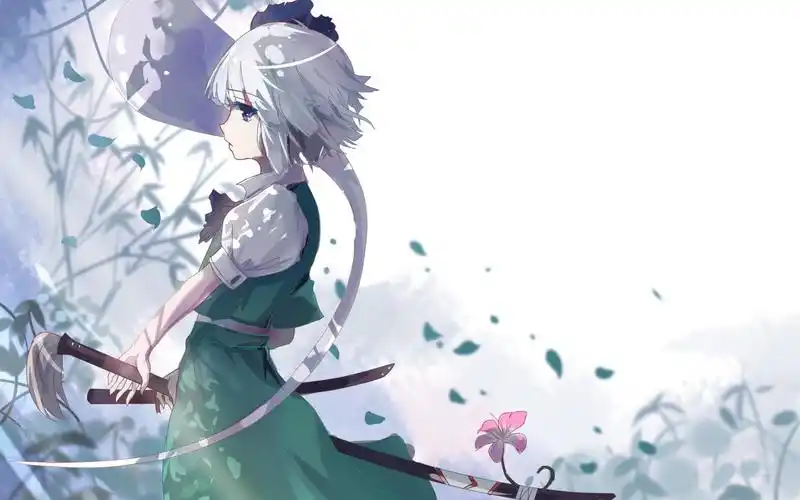 东方千夜帖 h难度魂魄妖梦