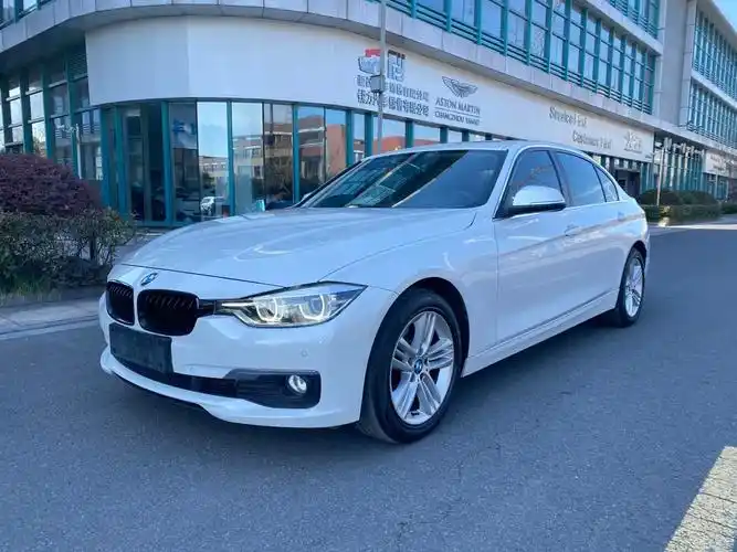 宝马 宝马3系  2017款 320li 时尚型图片