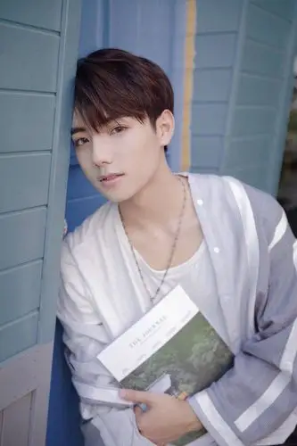 青春有你李振宁