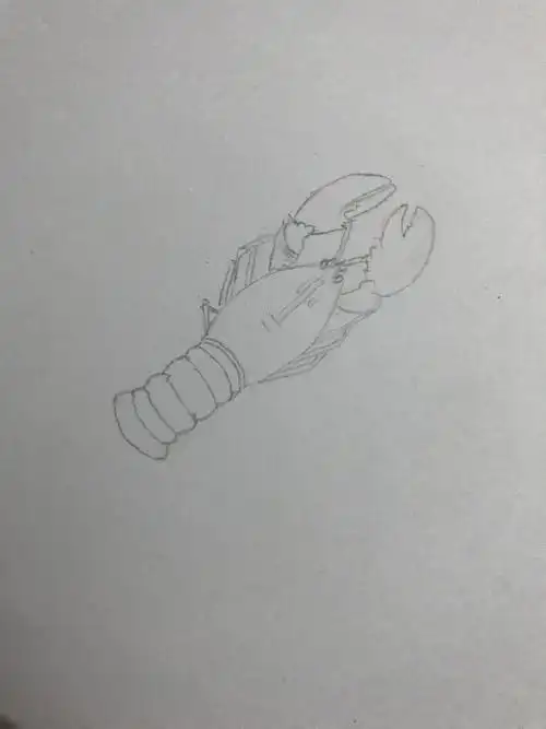 day8-彩铅画-小龙虾