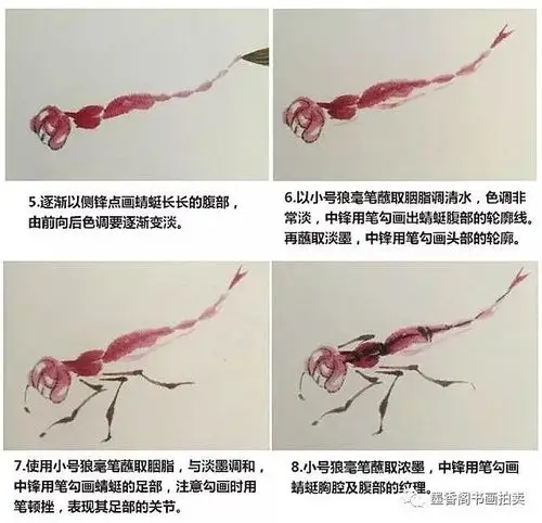 国画基础:写意草虫,蜻蜓的画法!