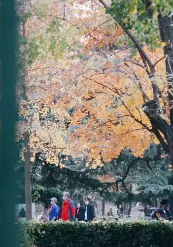 东单公园-"写在最前面东单公园 因为一种神奇的男男."-大众点评移动版