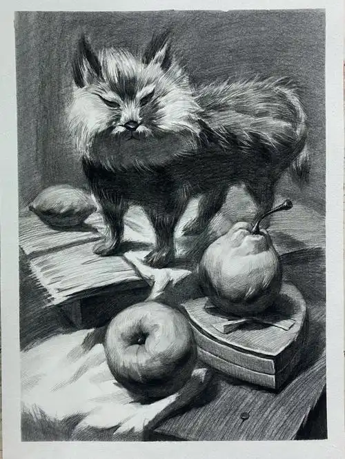 素描静物小狐狸含步骤