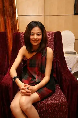 图文:华诚传媒在沪亮相-女星齐芳_影音娱乐_新浪网