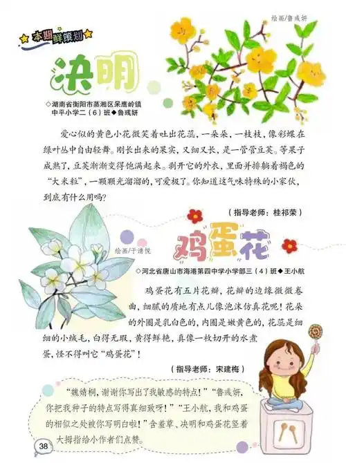 植物节介绍我的植物朋友