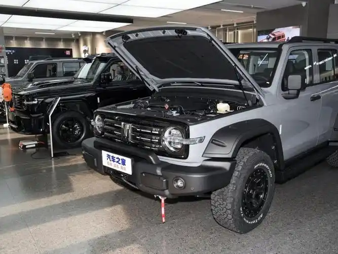 长城汽车 坦克300 2022款 2.0t 坦克游侠